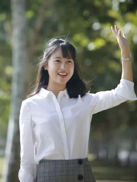 公开信息按发布时间滚动